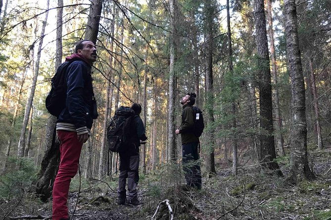 wildlife-safari-small-group-in-stockholm