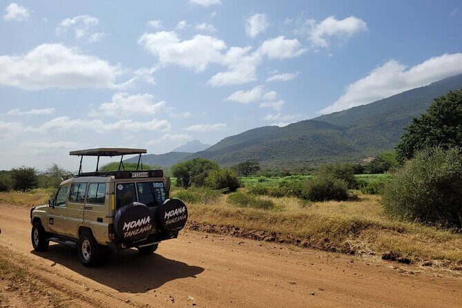 Wildlife Safari Tanzania - Final Thoughts