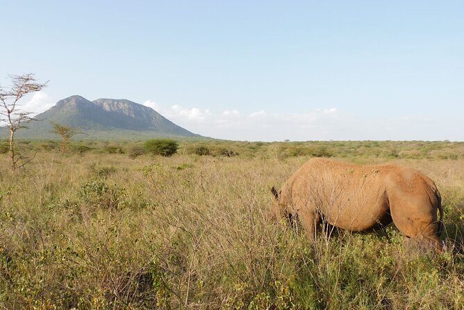 Wildlife Safari Tanzania - FAQ