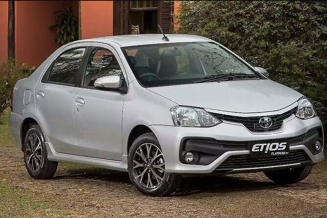 Wildlife SOS Visit with One Way Transfer from Agra to Delhi - Key Points