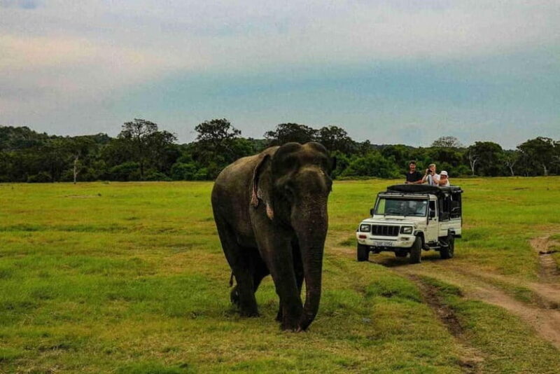 Wildlife Sri Lanka: 10-Day All-Inclusive Luxury Tour - Day 5 & 6: Horton Plains, Tea and Ella