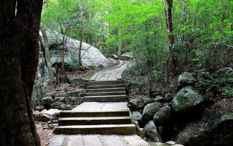 Wildlife Sri Lanka: 10-Day All-Inclusive Luxury Tour - Day 9: Sinharaja Rainforest Trek