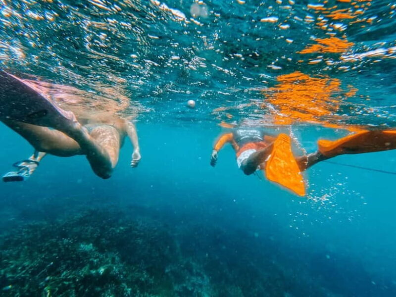 Wildlife Sri Lanka: 10-Day All-Inclusive Luxury Tour - Overall Value & Practical Insights