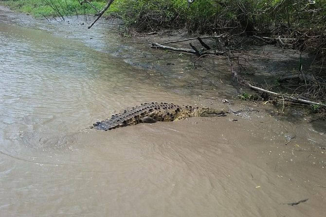 wildlife-tour-at-palo-verde-national-park