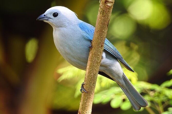 wildlife-tour-in-curicancha
