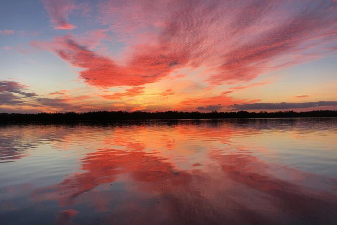 Wildlife Tour of Indian River Lagoon with Experienced Captain - An In-Depth Look at the Tour Experience