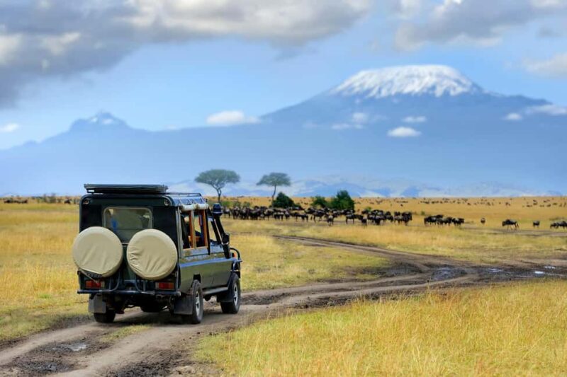 Wildlife Wonders: A 3-Day Safari to and from Arusha. - FAQ