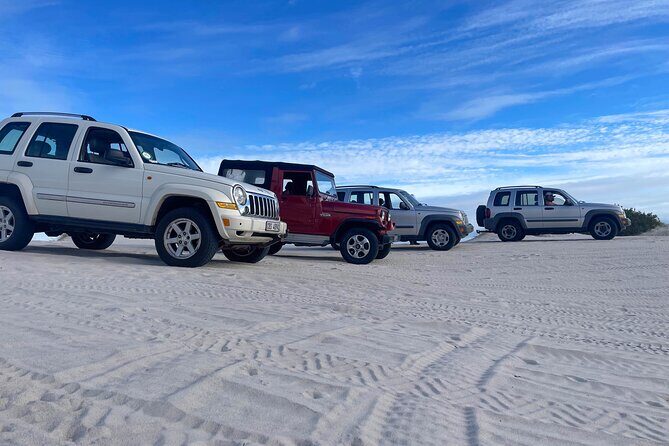 WildX Adventures Jeep 4x4 White Sand Dunes in Cape Town Atlantis - Detailed Breakdown of the Experience