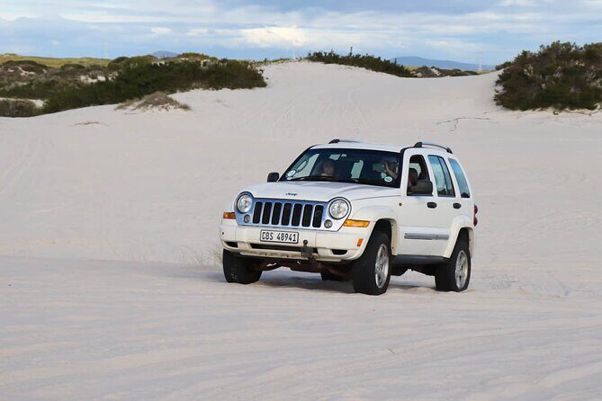WildX Adventures Jeep 4x4 White Sand Dunes in Cape Town Atlantis - Value and Practical Advice