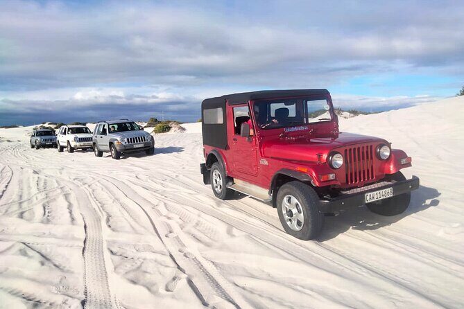 WildX Adventures Jeep 4x4 White Sand Dunes in Cape Town Atlantis - Final Thoughts