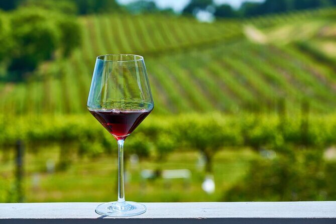 Willamette Valley Full-Day Wine Tour from Portland - Lunch and Free Time: Flexibility and Personal Exploration
