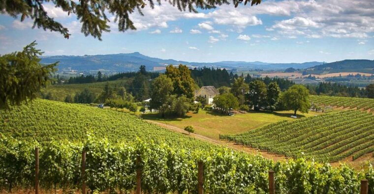 willamette-valley-wine-tour-a-journey-for-the-senses