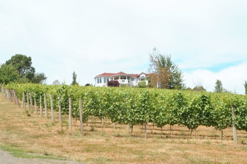 willamette-valley-wine-tour-tasting-fees-included