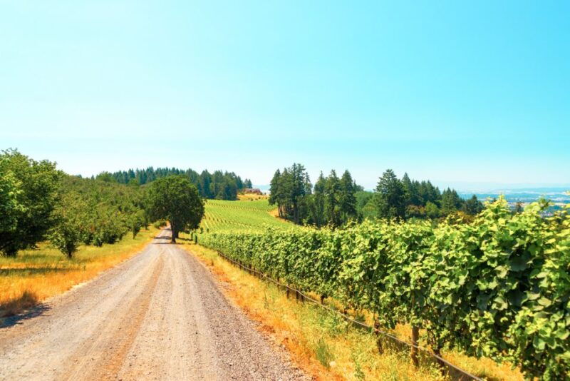 willamette-valley-wine-tour-tasting-fees-included
