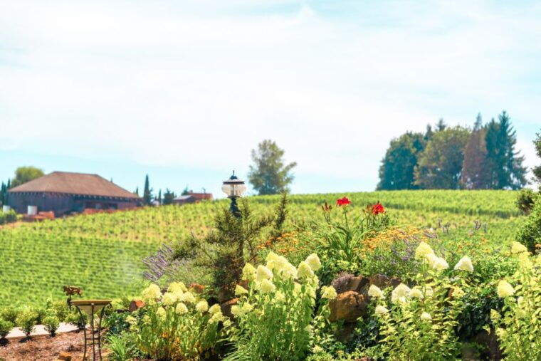 willamette-valley-wine-tour-tasting-fees-included