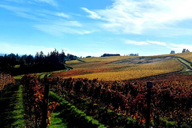 willamette-valley-wine-tour-with-lunch