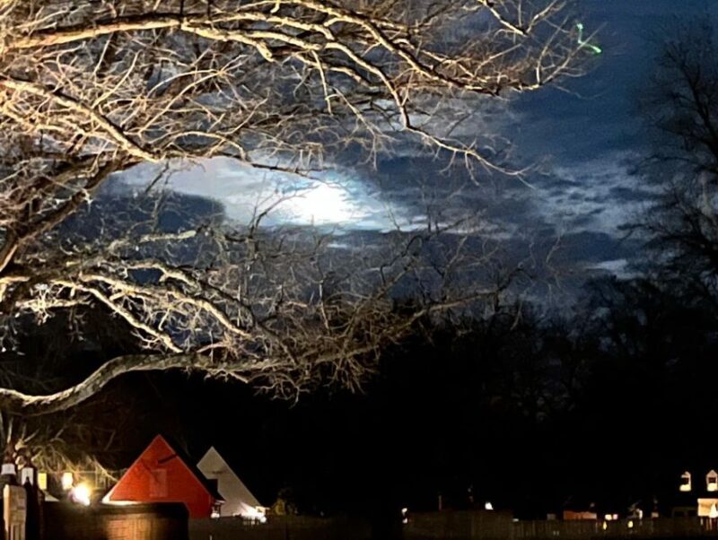 Williamsburg: Dead of Night Paranormal investigations Tour - What Makes the Williamsburg Dead of Night Tour Special?