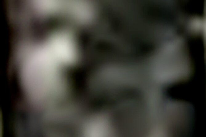 williamsburg-west-tour