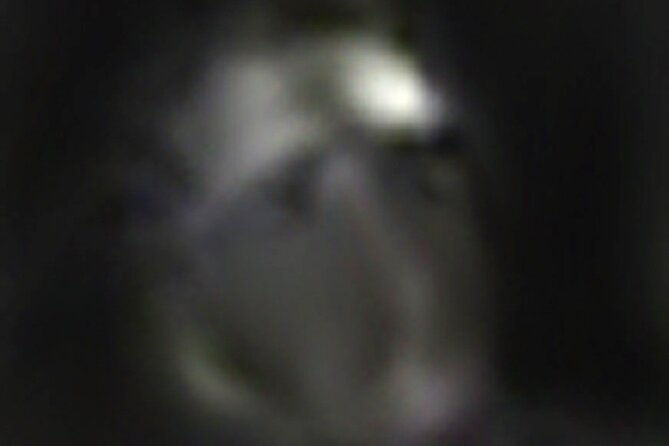 williamsburg-west-tour