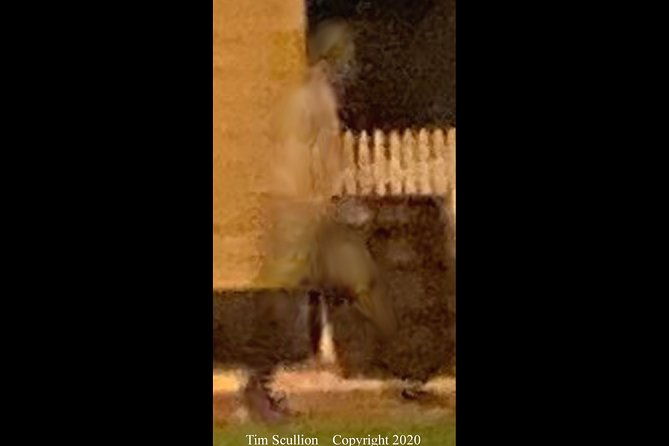 williamsburg-west-tour