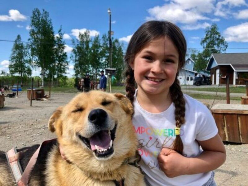 willow-summer-dog-sledding-ride-in-alaska