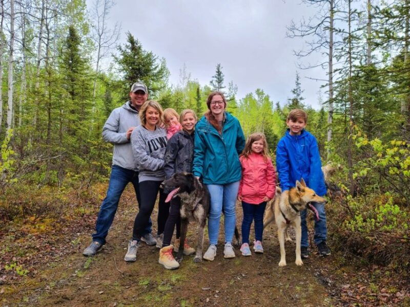 willow-summer-dog-sledding-ride-in-alaska