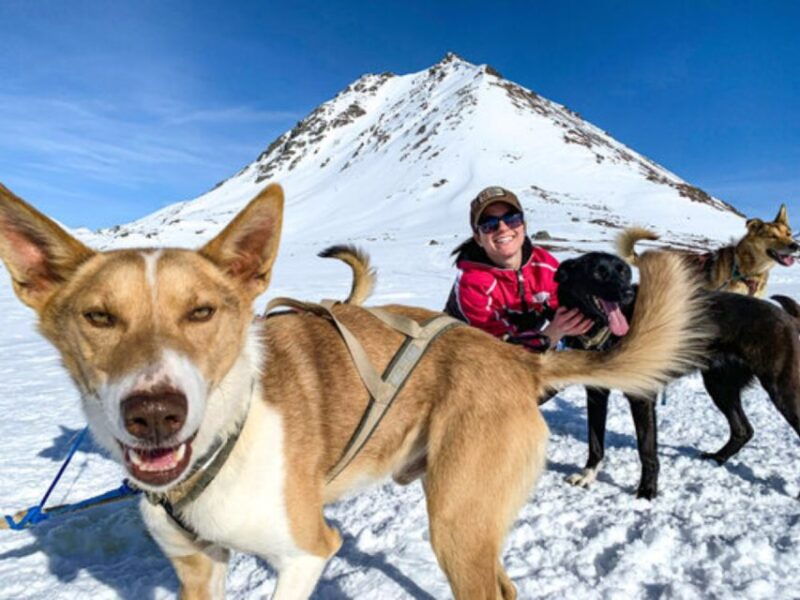 willow-traditional-alaskan-dog-sledding-ride