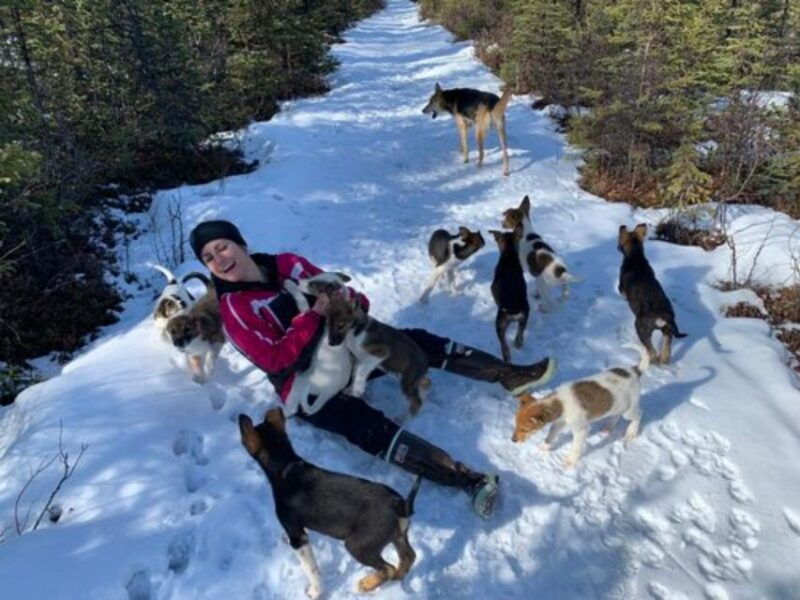 willow-traditional-alaskan-dog-sledding-ride