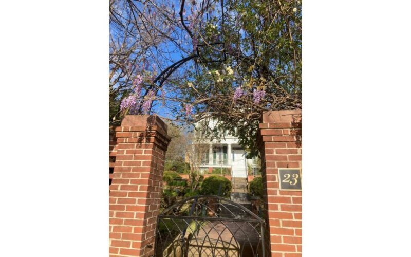 Wilmington History and Architecture Tour - Practical Tips for Your Tour Experience