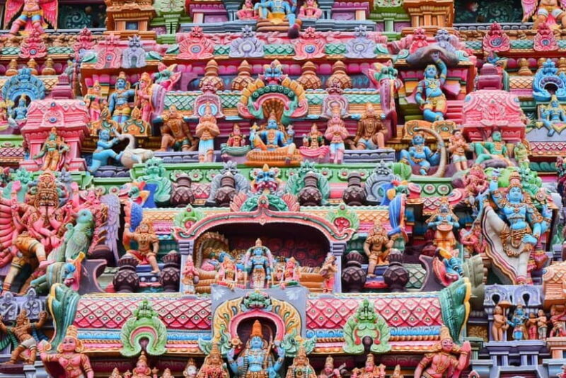 Wilpattu leopard safari and free jeep with guide included. - Itinerary and What to Expect