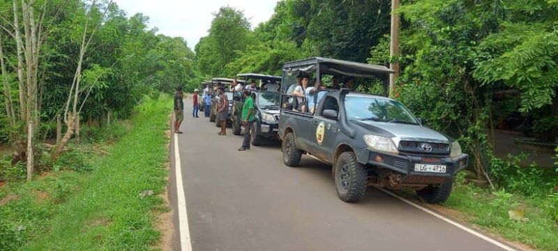 wilpattu-national-park-5-hours-12-hours-day-tours