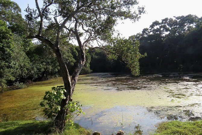 Wilpattu National Park Entrance Ticket with Private Safari - An Introduction to Wilpattu National Park