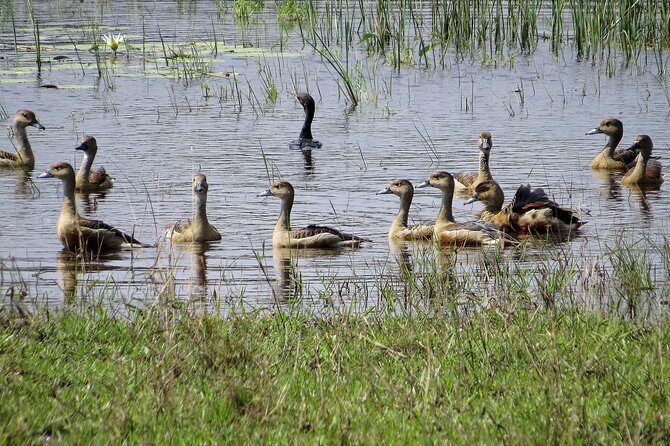 Wilpattu National Park Entrance Ticket with Private Safari - The Experience from the Perspective of Past Visitors