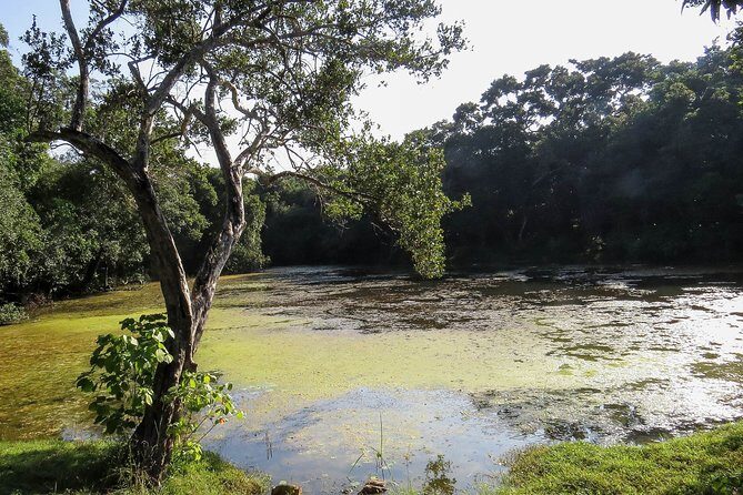 Wilpattu National Park Private Safari - Final Thoughts