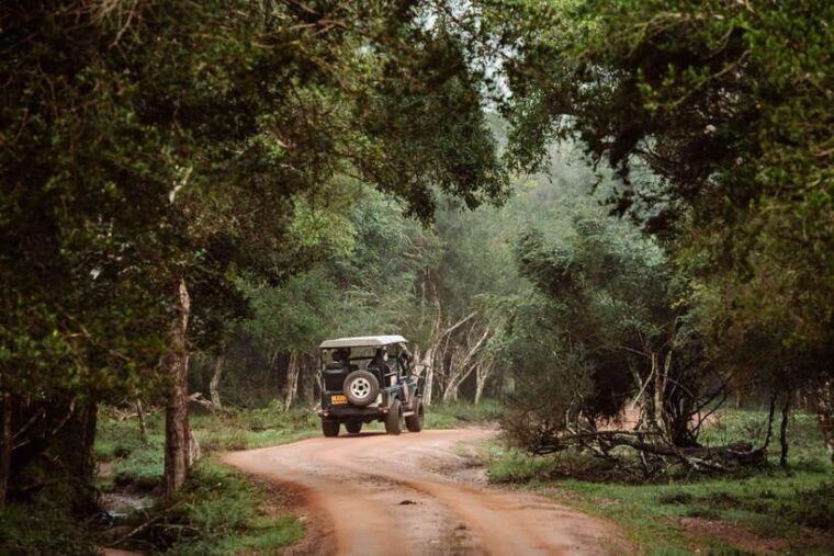 wilpattu-national-park-private-safari