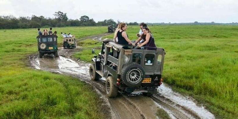 wilpattu-national-park-with-safari-jeep-entrance-ticket