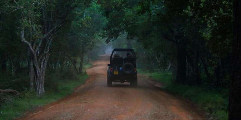 wilpattu-national-park-with-safari-jeep-entrance-ticket