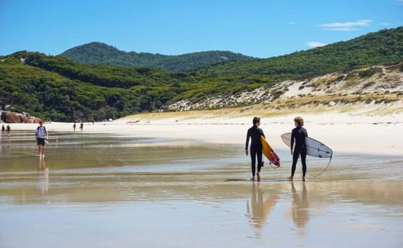 Wilson's Promontory National Park Day Tour From Melbourne - Key Points