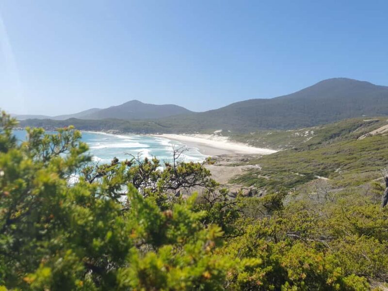 Wilsons Promontory National Park Day Trip - An In-Depth Look at Wilsons Promontory Day Trip