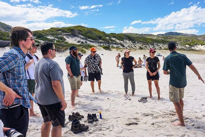 Wilson's Promontory Small Group Eco Tour from Melbourne - The experience’s pacing and value  