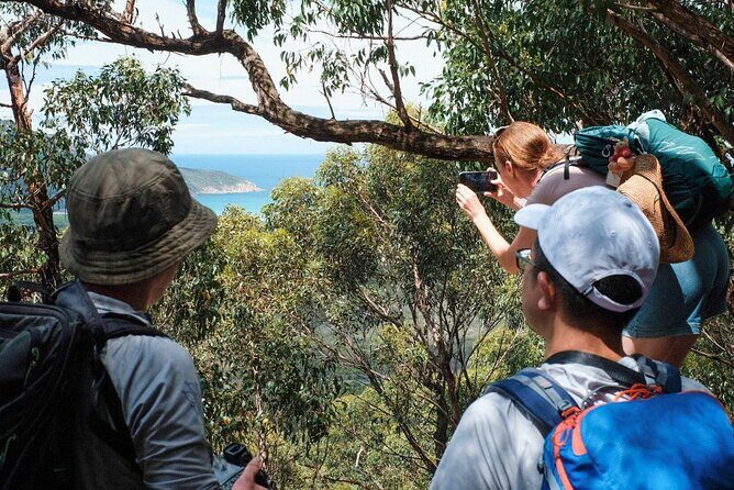 Wilson's Promontory Small Group Eco Tour from Melbourne - Who is this tour best suited for?  