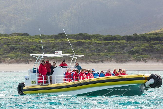 Wilsons Promontory Wilderness Cruise from Tidal River - The Sum Up