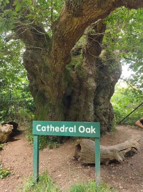 Wiltshire: Mystical and Dragons Guided Driving Tour - The Sum Up  