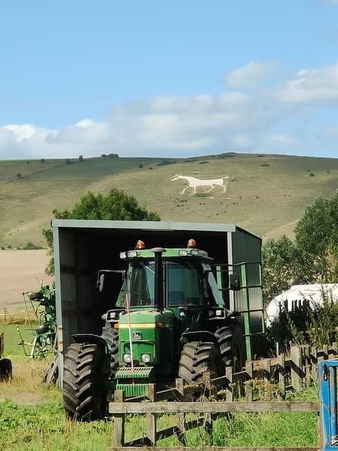 Wiltshire: Mystical and Dragons Guided Driving Tour - FAQ  