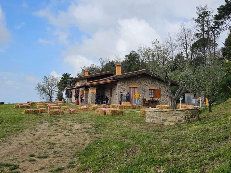 win-near-florence-lunch-or-dinner-in-a-traditional-tuscan-farmhouse