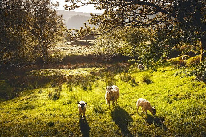 Windermere & Lake District Tour from Manchester Including Cruise - The Itinerary in Detail