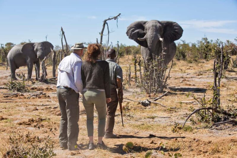 Windhoek: 5-Day Private Etosha Safari with Accommodation - Key Points