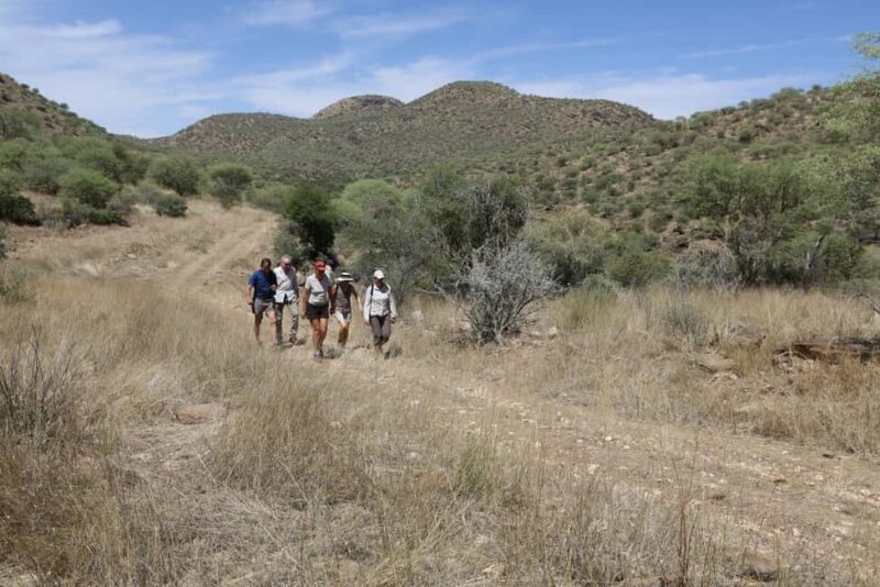 Windhoek: Dustenbrook Scenic Game Drive - Practical Details and Tips