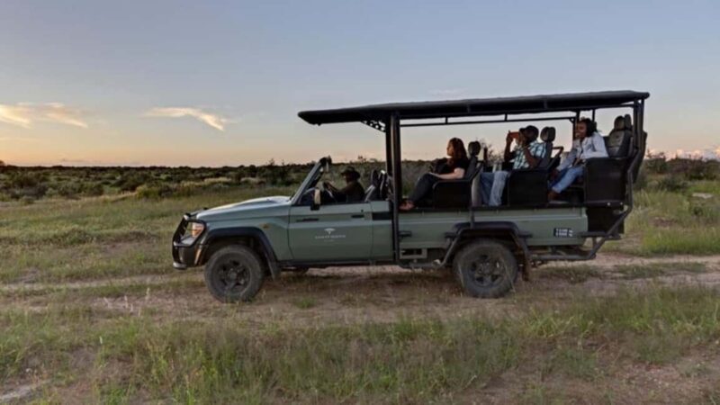 Windhoek: Rhino Tracking Tour with Hotel Pickup - An In-Depth Look at the Rhino Tracking Tour