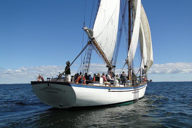 Windjammer Classic Day Sail from Camden, Maine - An In-Depth Look at the Camden Windjammer Experience